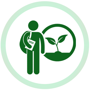 الاستشارات والكوادر الاستشارات والكوادر