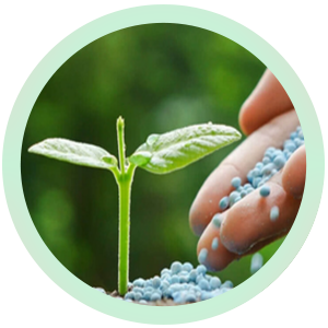 البذور والأسمدة والتربة البذور والأسمدة والتربة