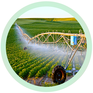 أنظمة الري وشبكات المياه أنظمة الري وشبكات المياه