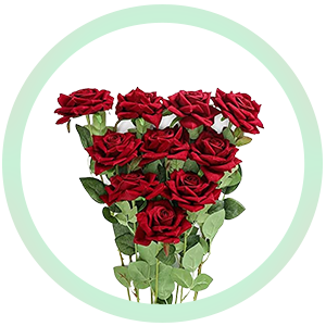 باقات الورد والهدايا