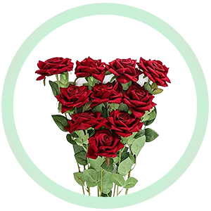 باقات الورد والهدايا باقات الورد والهدايا