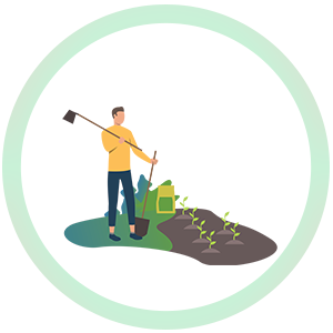 تنسيق الحدائق والبستنة تنسيق الحدائق والبستنة