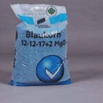 S Blaukorn